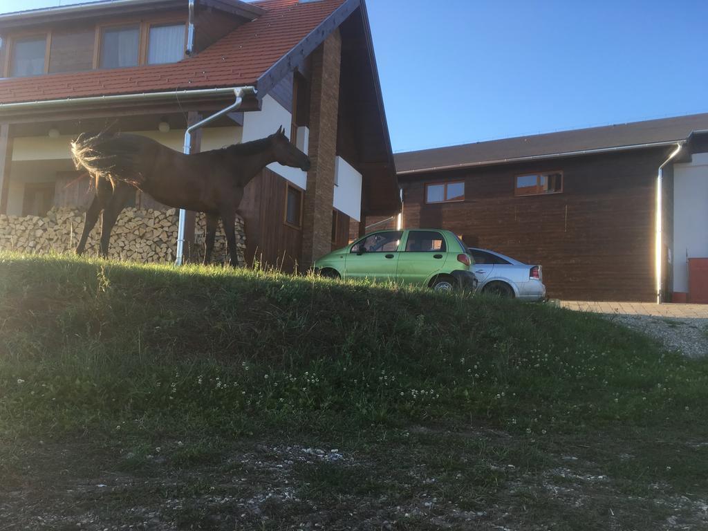 Kavalliera Pensiune Cotormani Exterior foto